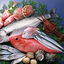 �����t(y��)ˎ�U��̎���ИI(y��)�F(xi��n)��